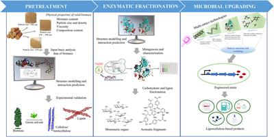 Revisiting Theoretical Tools and Approaches for the Valorization of Recalcitrant Lignocellulosic Biomass to Value-Added Chemicals